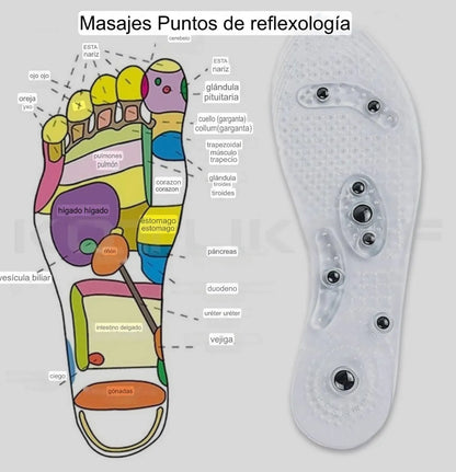 2 Plantillas magnéticas + ENVÍO GRATIS!🎁
