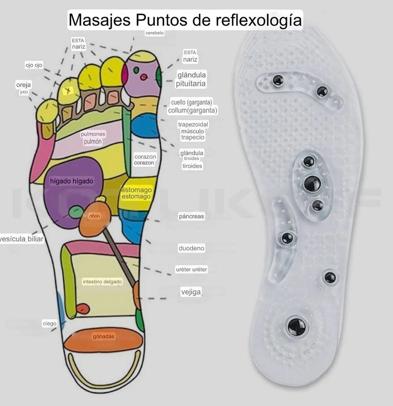 2 Plantillas magnéticas + ENVÍO GRATIS!🎁